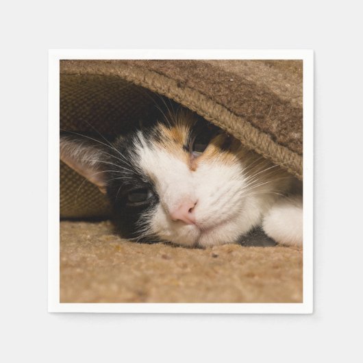 Calico onder de riem servet (Voorkant)