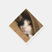 Calico onder de riem servet (Hoek)