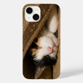 Calico onder de Rug iPhone Case (Achterkant)
