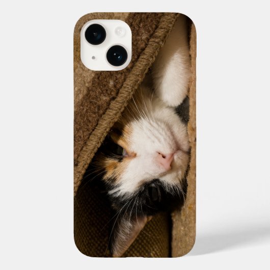 Calico onder de Rug iPhone Case (Achterkant)