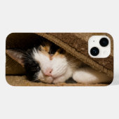 Calico onder de Rug iPhone Case (Achterkant (horizontaal))