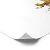 Calico Pennant Dragonfly Art Poster (Hoek)