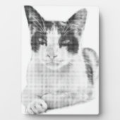 Calico Pop Halftone Fotoplaat (voorkant)
