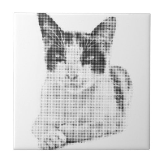 Calico Pop Halftone Tegeltje (Voorkant)