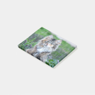 Calico Post-it® Notes