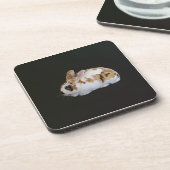 Calico Rabbit Bier Onderzetter (Linkerzijde)