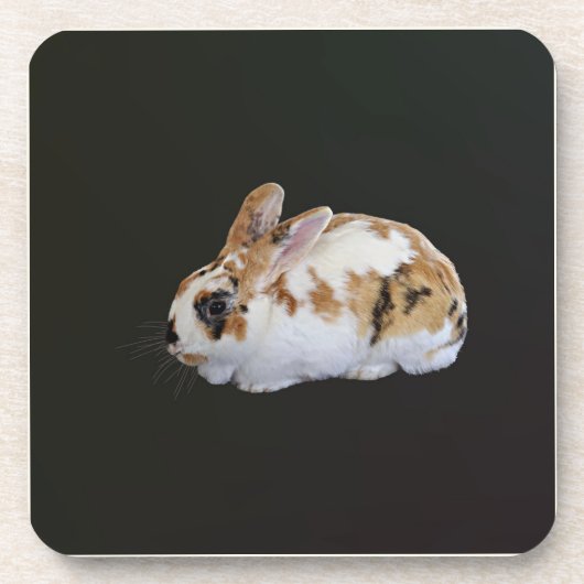 Calico Rabbit Bier Onderzetter (Voorkant)