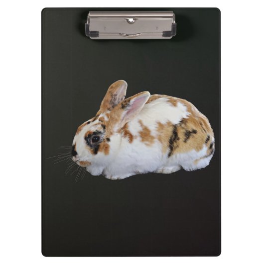 Calico Rabbit Klembord (Voorkant)