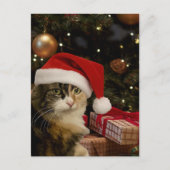 Calico Santa Kitty Postcard Briefkaart (Voorkant)