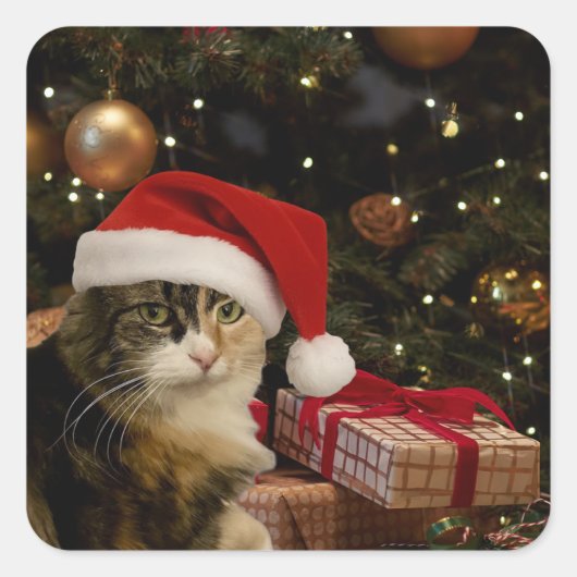 Calico Santa Kitty Stickers (Voorkant)