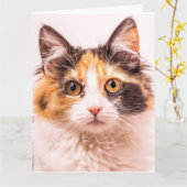 CALICO SCHATTIGEE KAT VERJAARDAG WENSKAART KAART (Gele Bloem)