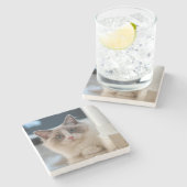 Calico Stenen Onderzetter (Zijkant)