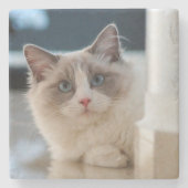 Calico Stenen Onderzetter (Voorkant)