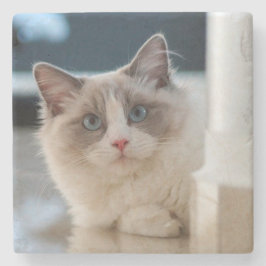 Calico Stenen Onderzetter