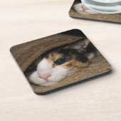 Calico Taco Bier Onderzetter (Linkerzijde)