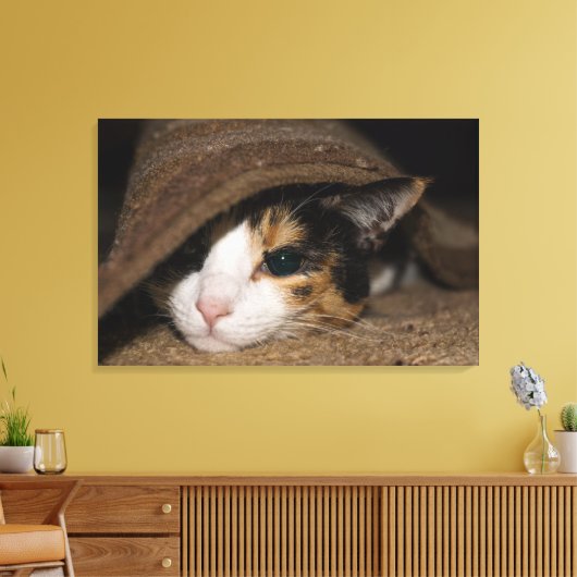 Calico Taco Canvas Afdruk (Insitu (Woonkamer))