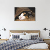 Calico Taco Canvas Afdruk (Insitu (Slaapkamer))