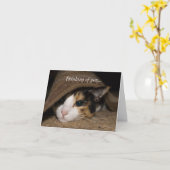 Calico Taco denkt aan jou Kaart (Gele Bloem)