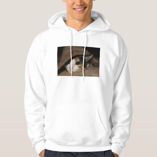 Calico Taco Hoodie (Voorkant)