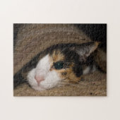 Calico Taco Legpuzzel (Horizontaal)