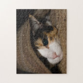 Calico Taco Legpuzzel (Verticaal)