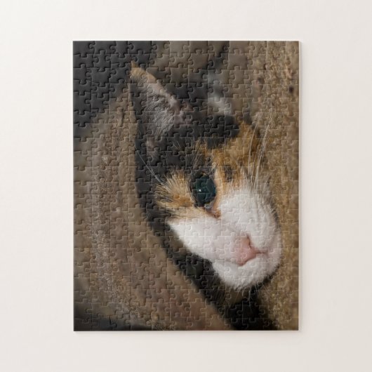 Calico Taco Legpuzzel (Verticaal)