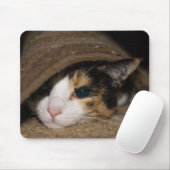Calico Taco Muismat (Met muis)