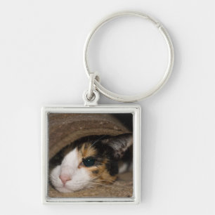 Calico Taco Sleutelhanger