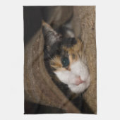 Calico Taco Theedoek (Verticaal)