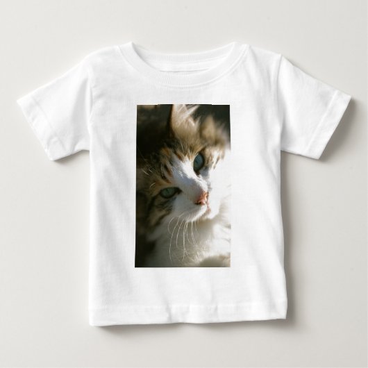 Calico Tiger Cat (Voorkant)