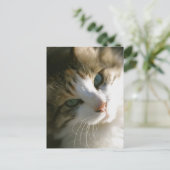 Calico Tiger Cat Briefkaart (Staand voorkant)