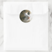 Calico Tiger Cat Ronde Sticker (Tas)
