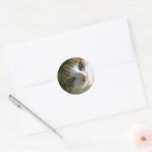 Calico Tiger Cat Ronde Sticker (Envelop)