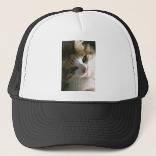 Calico Tiger Cat Trucker Pet