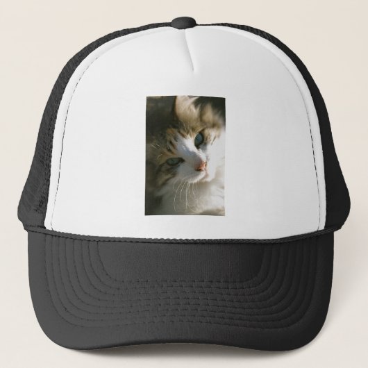 Calico Tiger Cat Trucker Pet (Voorkant)
