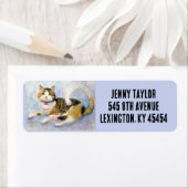 CALICO TORTIE CAT RETOURADRES LABELS (Insitu)