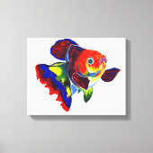 Calico Veiltail Goldfish canvas print (Voorkant)