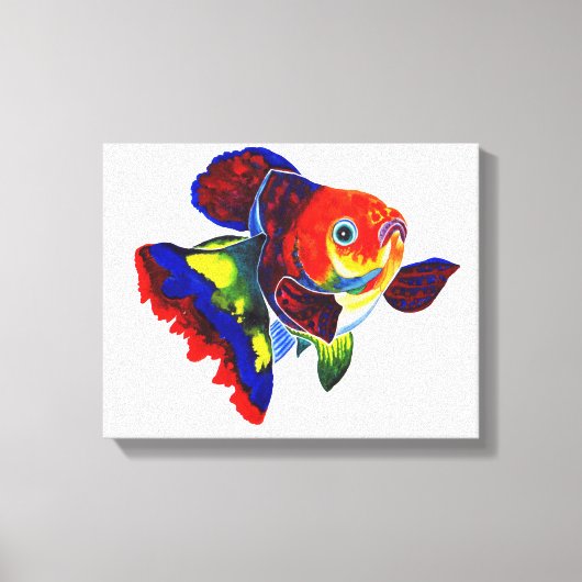 Calico Veiltail Goldfish canvas print (Voorkant)