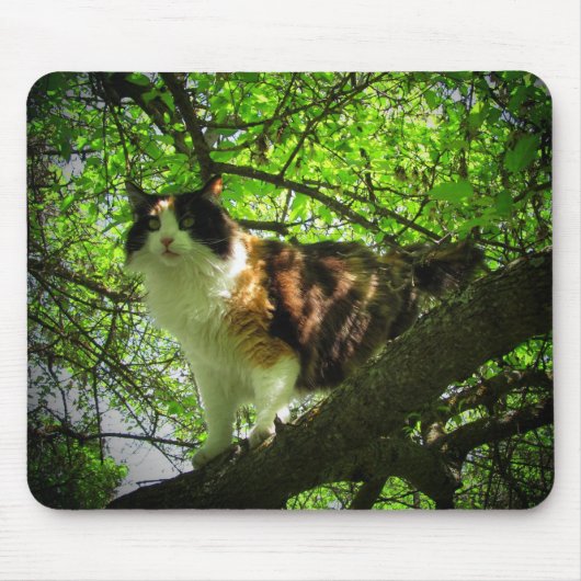 Calico vogeljager muismat (Voorkant)