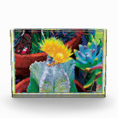 Caliente Cactus Fotoblokken (Voorkant)