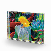 Caliente Cactus Fotoblokken (Rechts)