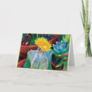 Caliente Cactus Kaart