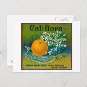 Califlora Oranje LabelRiverside, CA Briefkaart (Voorkant / Achterkant)