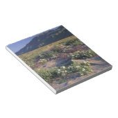 Califorinia, Anza-Borrego Desert SP, Zand Notitieblok (Schuin)