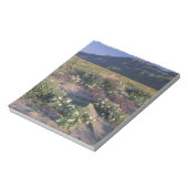 Califorinia, Anza-Borrego Desert SP, Zand Notitieblok (Linkerzijde)