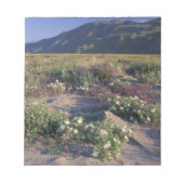 Califorinia, Anza-Borrego Desert SP, Zand Notitieblok (Voorkant)