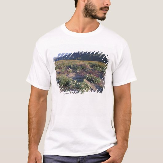 Califorinia, Anza-Borrego Desert SP, Zand T-shirt (Voorkant)