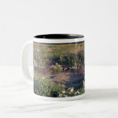 Califorinia, Anza-Borrego Desert SP, Zand Tweekleurige Koffiemok (Voorkant links)