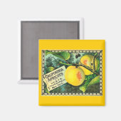 California Abrikozen -  krat Label Magneet (Voorkant / Achterkant)