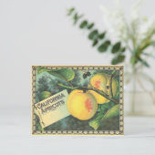 California Abriots Briefkaart (Staand voorkant)